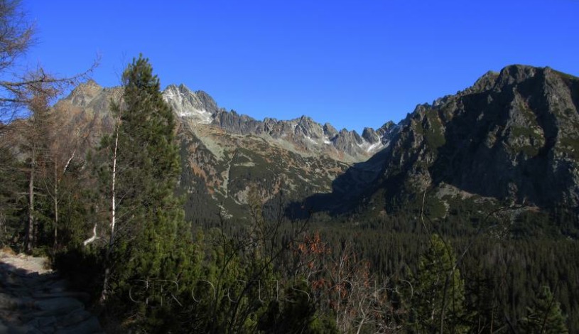 Apartmán Crocus 219 - Štrbské Pleso Vysoké Tatry